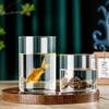 Glass Cylinder Vases Glass Hydroponic Vase Clear Holder Flower Vase D57B