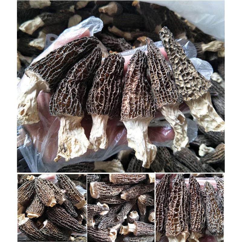 Sitong Junye Dried Morel Mushrooms - Yunnan Plateau Specialty