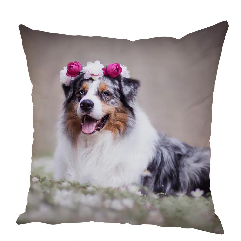 Cute Australian Shepherd Dog Pillow Case Peach Skin Decor Pet Animal Cushion Cover Thorw Pillowcase for Sofa Home Car 45x45cm