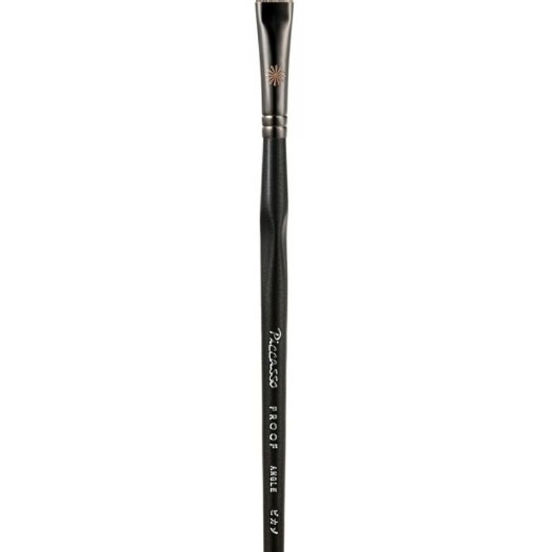 Piccasso [Picasso] PROOF ANGLE Concealer New proof angle concealer