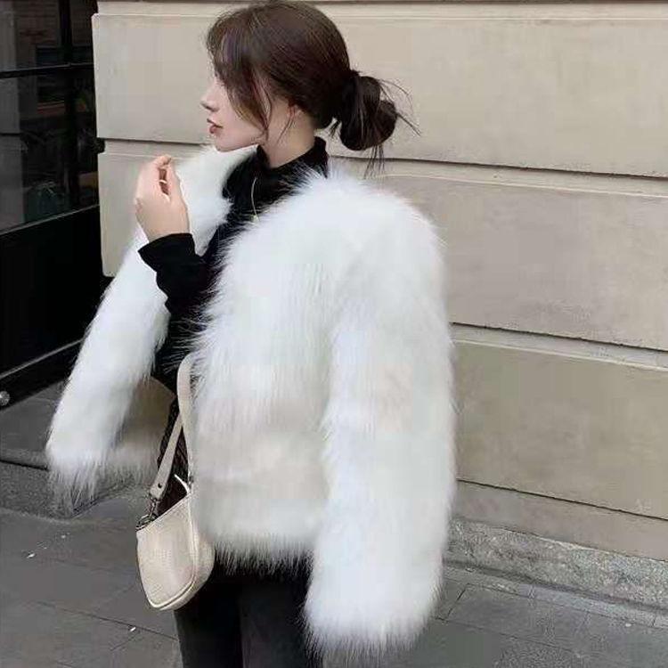 Autumn and Winter New Fashion Imitation Fox Fur Coat Women's Short Slim and Thin Fur Coat Tide