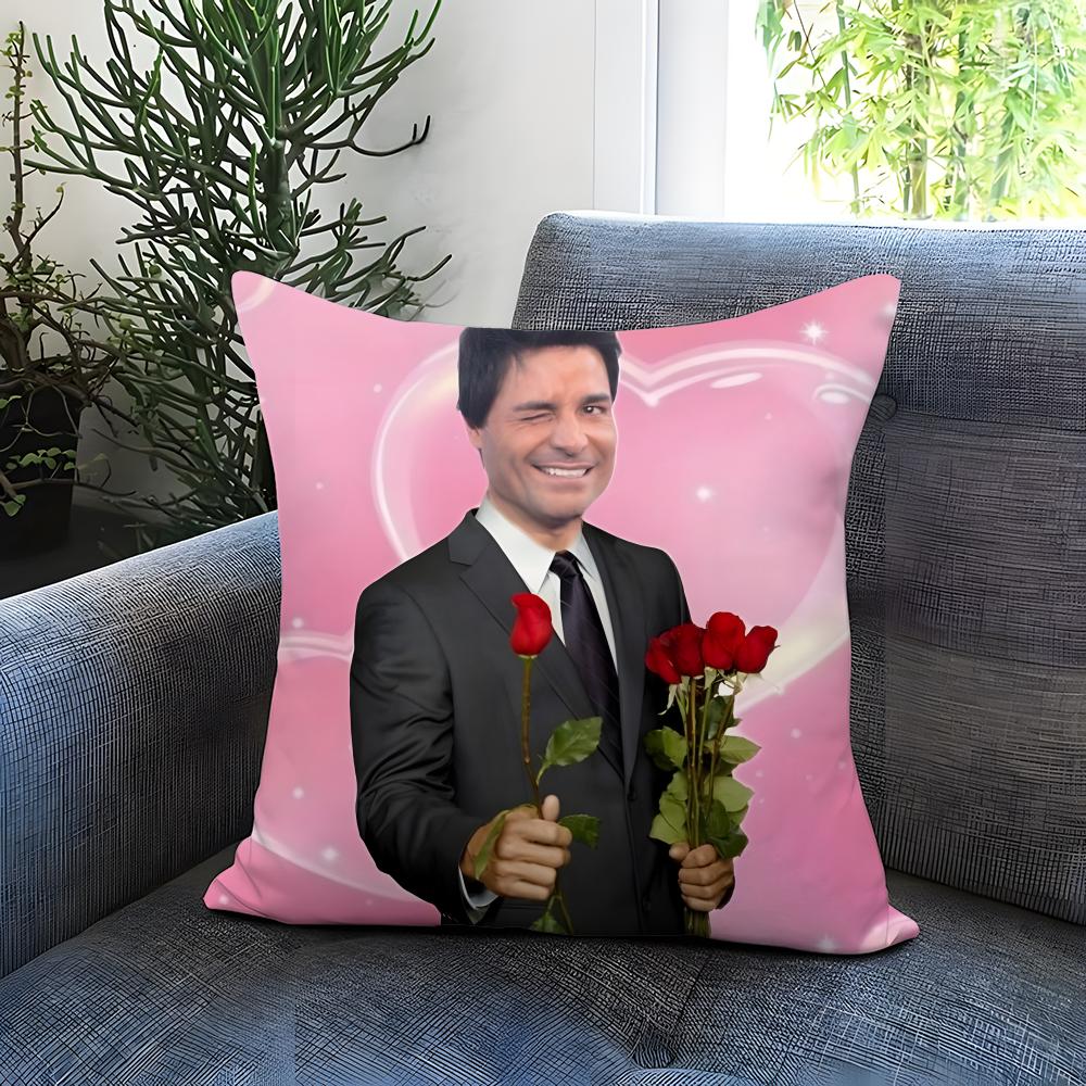 Fashion C-CChayanne Cushion Cover Comfortable Reversible Pillow Cover Ideal for Car Sofa Bedroom & Beyond