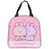 A-Asamimichans Lunch Bag Picnic Lunch Box For Women Aesthetic Graphic Design Thermal Tote Handbags Oxford Portable Cooler Bag