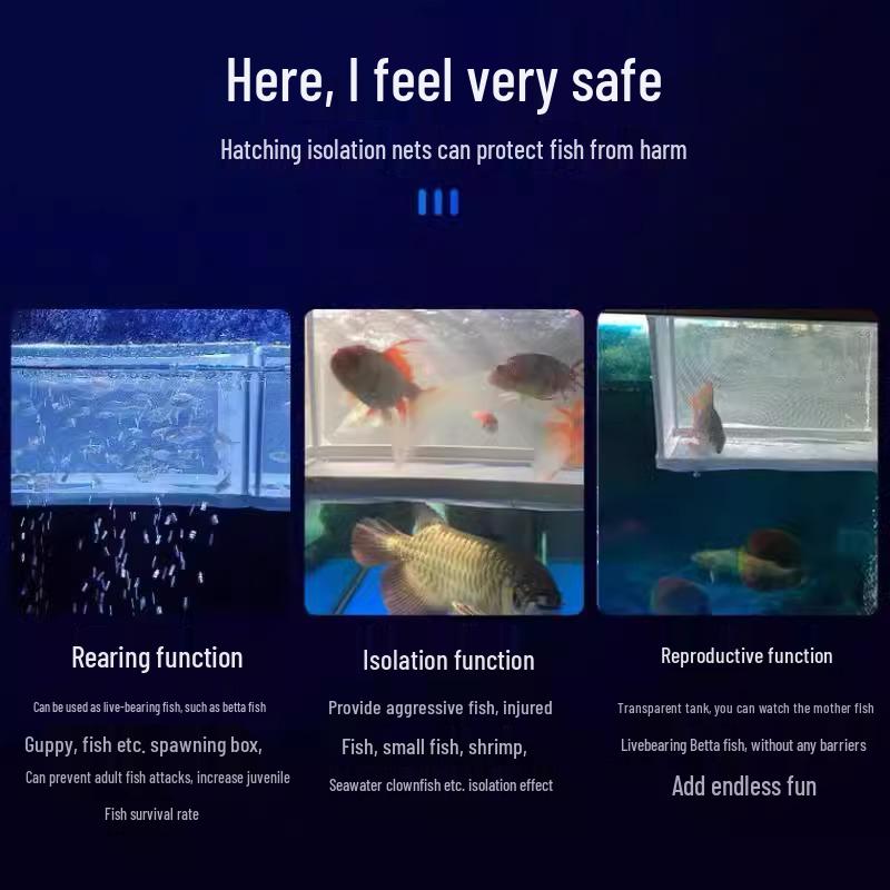 Bettafisch Isolations- und Zuchtbox: Schwimmendes Schutz-Aquarium für kleine Fische und Guppy-Jungfische