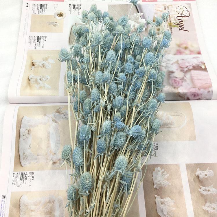 Preserved Eryngium Blue Planet Glass Dome DIY Wedding Flowers