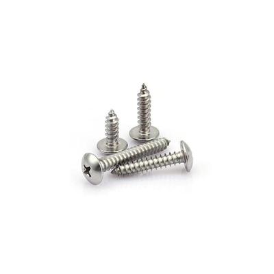 304 Stainless Steel Self-Tapping Screws: Large Flat Head, Round Head, Pan Head, Phillips, Wood Screws, M3/M4/M5/M6.