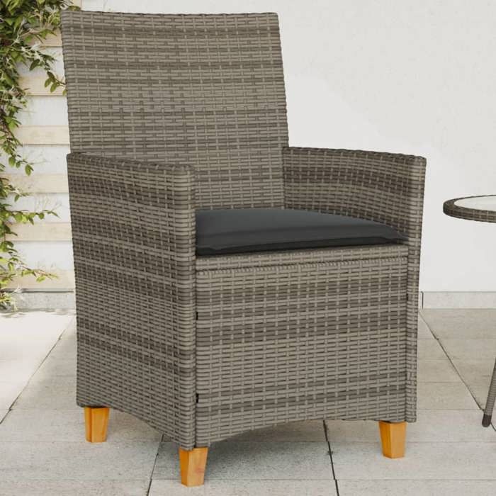 VidaXL Lot de 2 Chaises de Jardin avec Coussins, Sièges avec Accoudoirs, Fauteuils de Terrasse Patio, Moderne, Gris Résine 368718