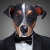 Cute Dog Mask Cosplay Funny Big Ear Dogs Animal Latex Helmet Halloween Carnival Dress Up Bar Masquerade Party Costume Props