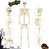 Full Body Realistic Plastic Skeleton For Halloweens Scare Props And Party Setups
