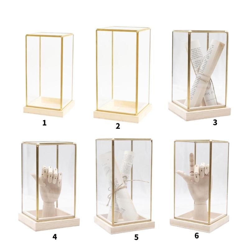 Samlarobjekt Glasmonter Monter för Samlarobjekt Displaylåda Dekorativt Hantverk för Hem och Kontor