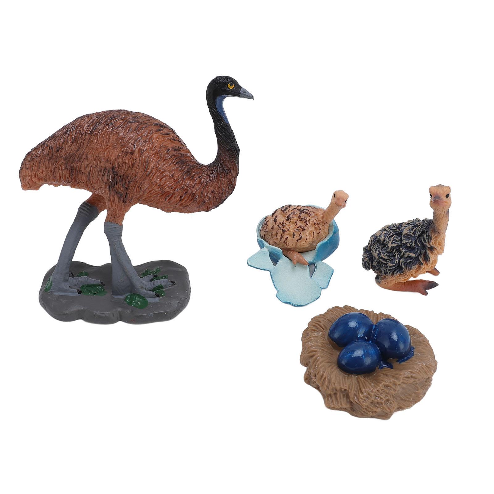 

4pcs Simulation Animal Model Ostrich Model Toy Ornament Children Cognitive Growth Cycle Toy for Kindergarten School