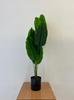 Artificial Banana Palm Tree In A Pot, Realistic, 120Cm Decoration