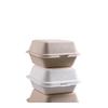Disposable Pulp Takeaway Food Boxes