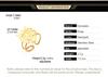 Dawapara Lion Head Ring Adjustable Norse Animal Totem Ring Strength Talisman Wedding Band Stainless Steel Jewelry