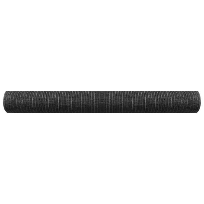 VidaXL Filet brise-vue Anthracite 2x50 m PEHD 135 g-m² 149295