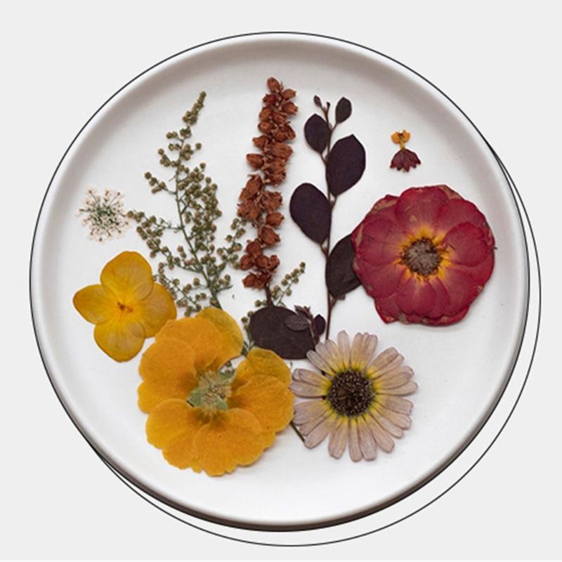 Natural Pressed Dried Flower For Epoxy Resin Dry Flowers and Leaves Set for Soap Candle Jewelry Making Scrapbooking