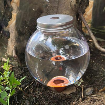 Yousheng 1/2/3Pcs Automatic Water Seepage Device Self-Watering Planter Insert with Round Ball Design Soil Moisture Regulator Transparent Plant Waterer