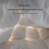 SIDANDA 4A Grade 95% White Goose Down Cotton Duvet