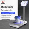 Commercial 304 Stainless Steel Electronic Platform Scale (CN Version)