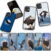 Bald Eagle Phone Cover for Apple iPhone 16 15 14 Plus 13 12 Mini 17 Pro Max + ProMax 16E Air Case