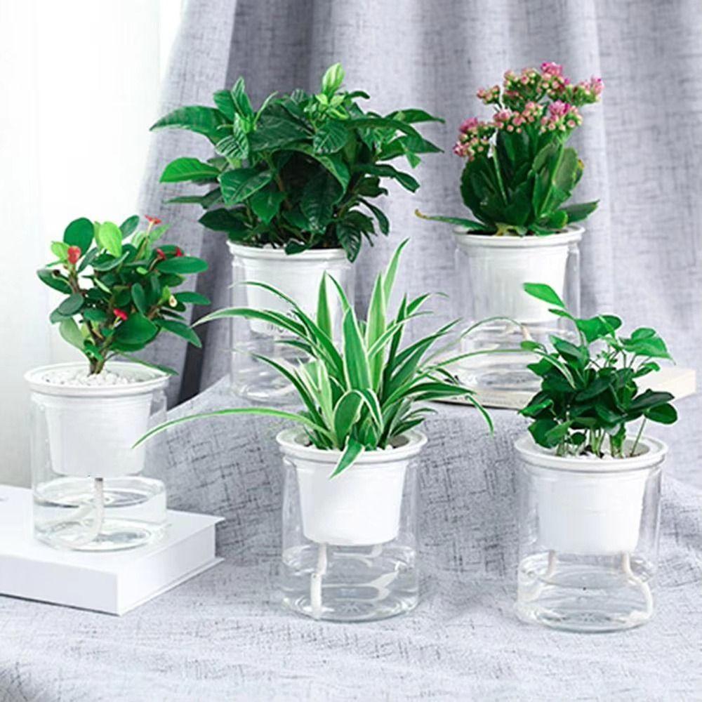 1Pcs Automatic Water Absorption Flower Pot Self Watering Double-layer Hydroponic Planter Plastic Transparent