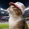 Proužkovaná baseballová čepice pro mazlíčky Fotbalová výšivka Kočičí klobouk Prodyšná psí baseballová čepice s nastavitelnou šňůrkou pro psy a kočky Ochrana proti slunci