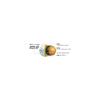 Bridgestone PHYZ Premium Golf Balls 12 Pack Gold Pearl