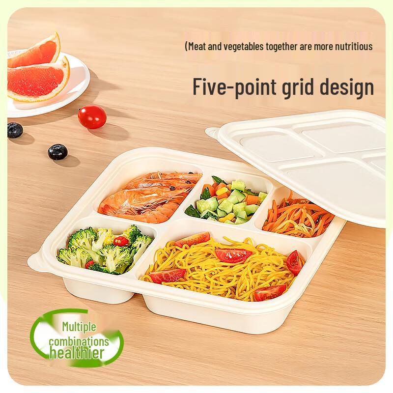 Temeiju Eco-Friendly 5-Compartment Disposable Meal Boxes