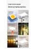 LED Ceiling Light: Ultra-Thin, Modern Round Lighting for Living Room, Bedroom, Dining, and Study Rooms