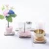 [Buddhist Altar.Te To Te] Kiyora Glass Buddhist Altar Set (11 Pieces): Includes Rice Bowl, Water Bowl, Incense Burner, Flower Vase, Candle Holder, Bel