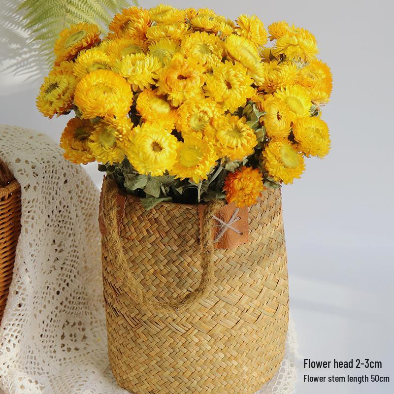 Daisy Dried Flower Bouquet for Living Room and Bedroom Décor - Natural Yunnan Flowers for Display or Photo Props