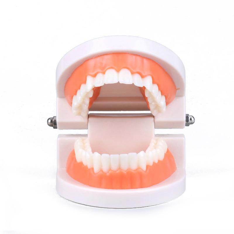 

Montessori Educational Toys For Children Early Learning Kids Intelligence Brushing Tooth Teaching Aids Simulated Practical LifeT