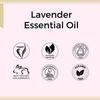 Эфирное масло Лаванды (10 мл), Lavender Essential Oil,  Aroma Treasures