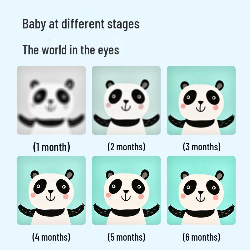 Black & White Early Education Visual Cards for Babies 0-36 Months - Educational Tracking Toys