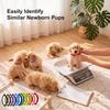 16pcs Breathable Puppy Collars Adjustable Whelping Collars Newborn Puppy Collars  Newborn Pets