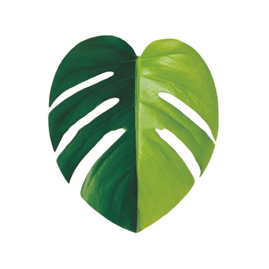 Yousheng Simulated Tropical Leaf Decoration Acrylic Epoxy Resin Green Leaf Sign DIY Refrigerator Magnet Mobile Phone Airbag Holder Accessories