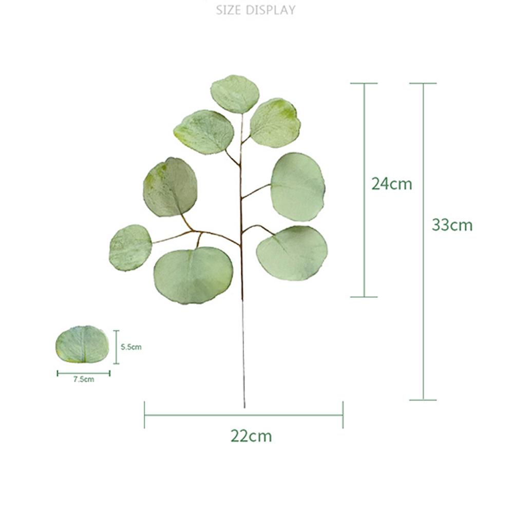 Simulation  Eucalyptus Colored Leaves Photo Shoot Photography Background Props Tabletop Home Decor
