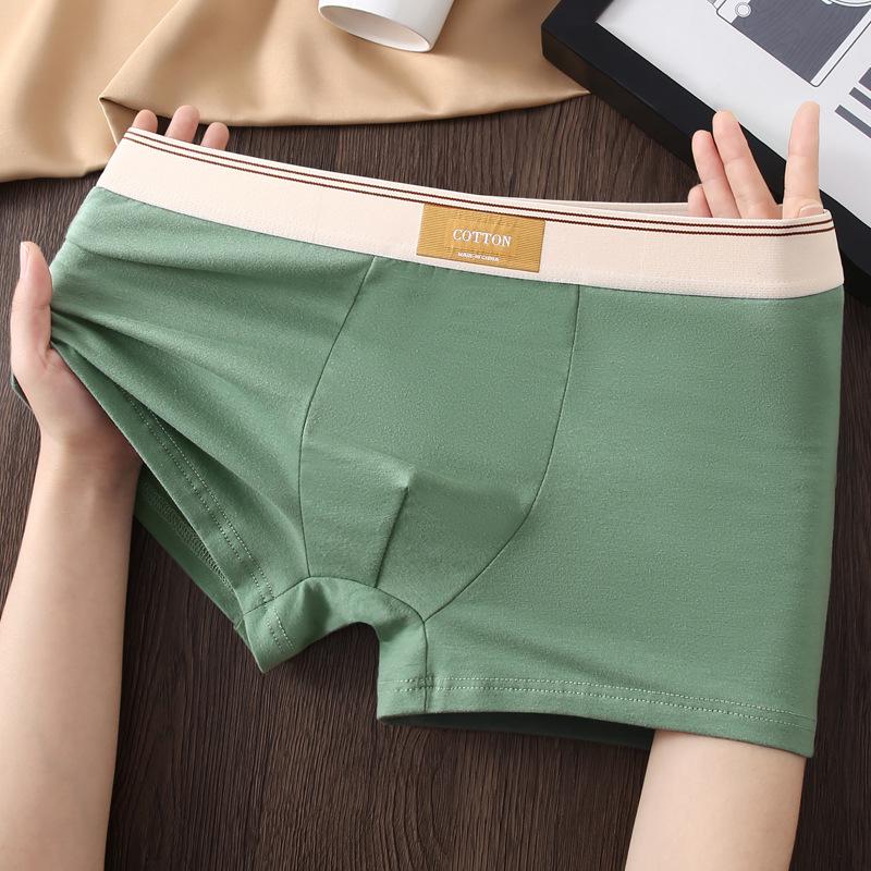 Men's Antibacterial Cotton Boxer Briefs - Breathable Summer Underwear for Teens and Boys