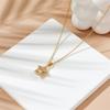 Stainless Steel Chain Simple Zircon Star Pendant Necklaces for Women Men Fashion Shiny Star Collar Accessories Jewelry Gifts