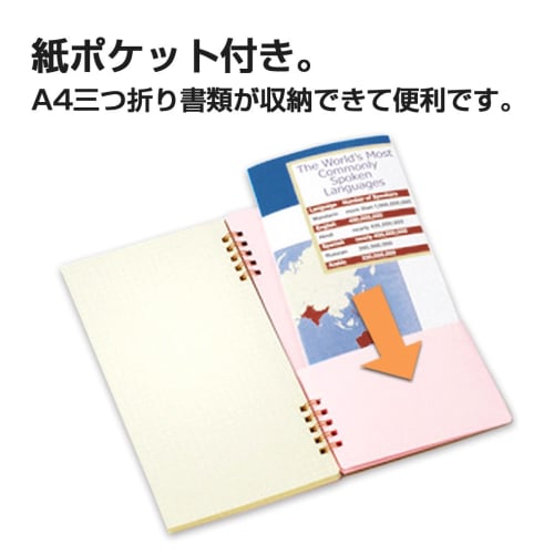Plus Note Memo Pad Graph 5mm Ka.Crie Twin Ring A4 X 1/3 RT-650GC Black 77-911 X 2
