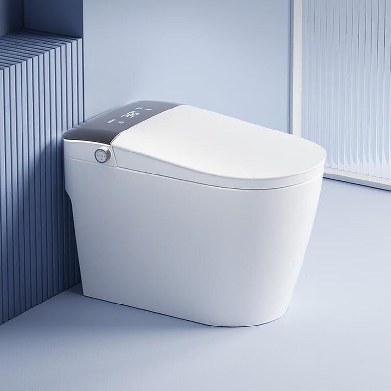 Shengbai Wall-Mounted Smart Toilet