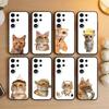 Huse pentru telefoane – Huse tip bumper pentru telefon