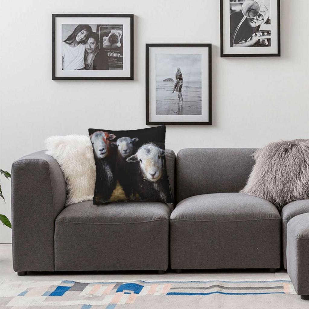 Federa Quadrata con Pecore Herdwick in un Fienile Cumbria Poliestere Lino Velluto Fantasia Zip Decorata Federa per Cuscino da Lancio Custodia per Cuscino da Stanza
