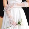 Gants Longs en Dentelle Papillon en Maille Blanche Accessoires Robe de Mariée Mariée Élégants Fins Transparents Décoration de Fête Gants Coudes