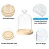 PATIKIL 5.1" x 3.9" Glass Dome Cloche, Clear Glass Bell Jar Display Case, Tabletop Centerpiece with Wooden Base, LED Light, Plant, Home Decor, Natural