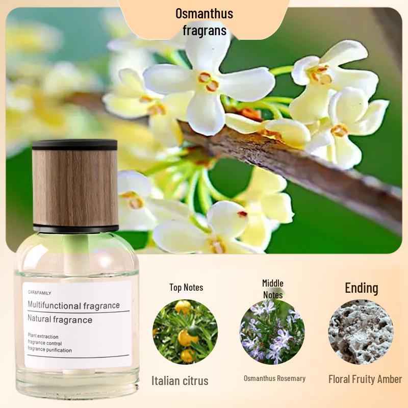 Men's Luxury Car Air Freshener: Long-lasting Light Scent Perfume Ornament for Car Interiors