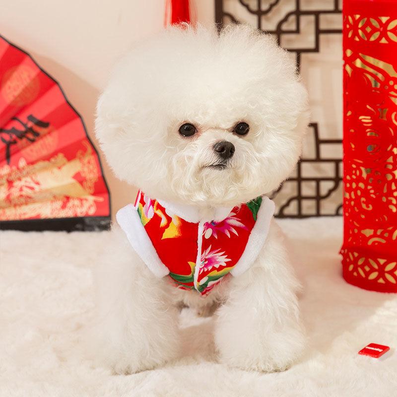 Grosse fleur doudoune vêtements pour chiot automne et hiver velours chaud deux pieds ours en peluche vêtements pour animal de compagnie