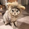 Face Opening Cat Mane Wig Rounded Ears Pet Wig Washable Cat Mane Headpiece  Cat