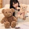 Cute Bear Hug Bear Doll Plush Toy Teddy Bear Doll Children's Doll Birthday Gift