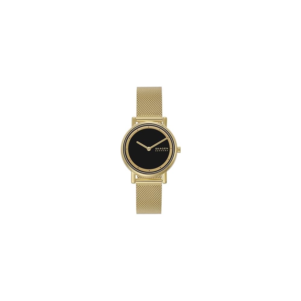 Skagen Signatur Lille SKW3111 Women s Watch Gold